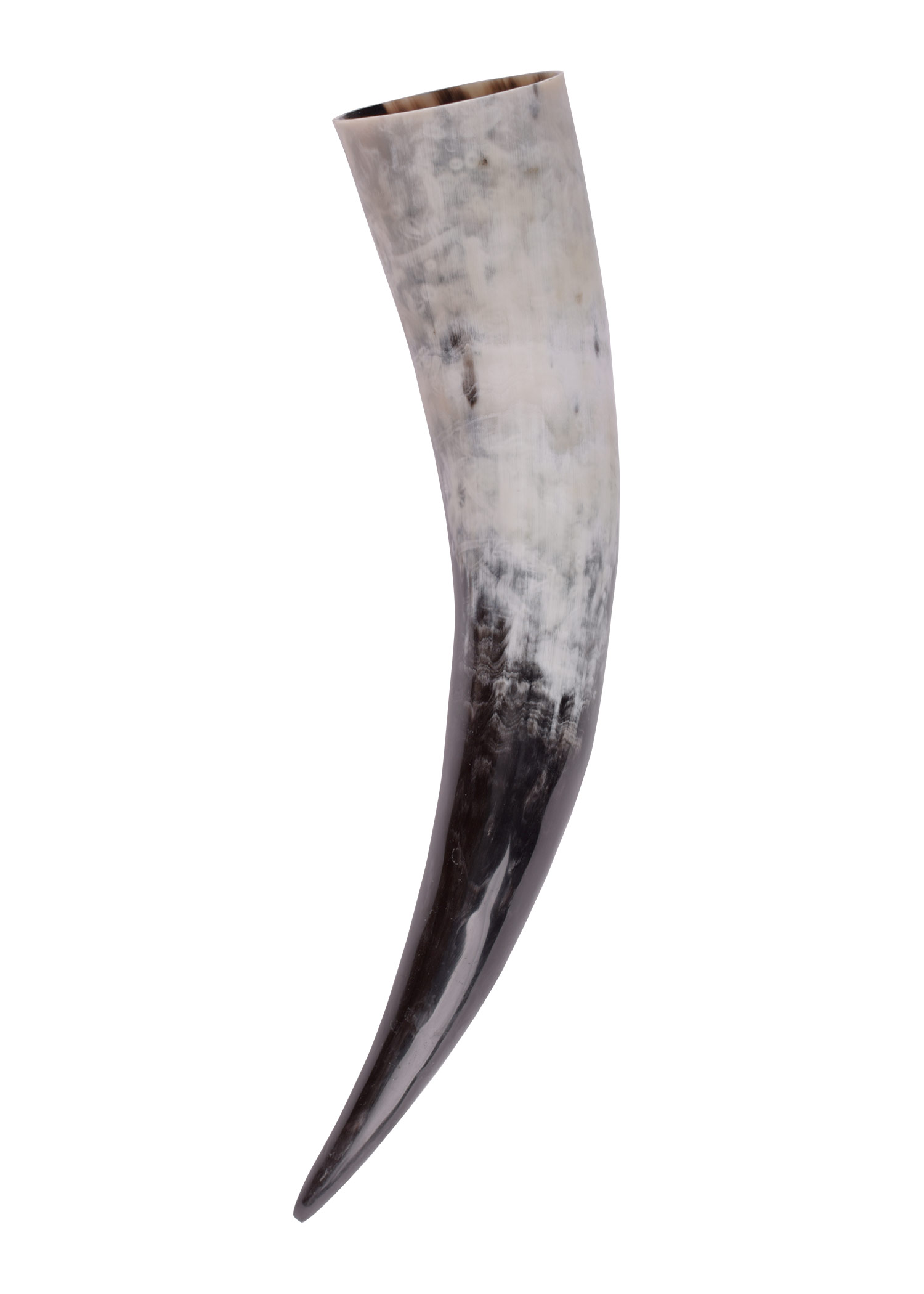 LARP Viking Cow Drinking Horn With Stand Re-Enactment Usable 